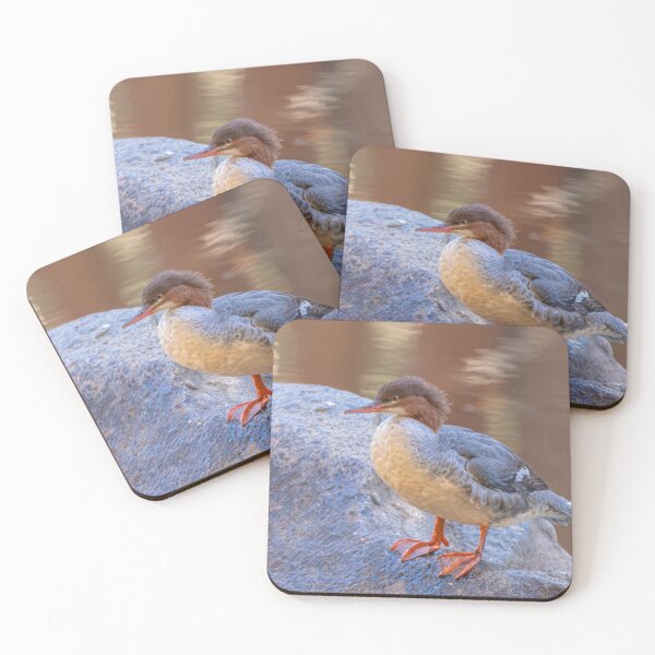 Item preview, Merganser  designed and sold by jvnimages.