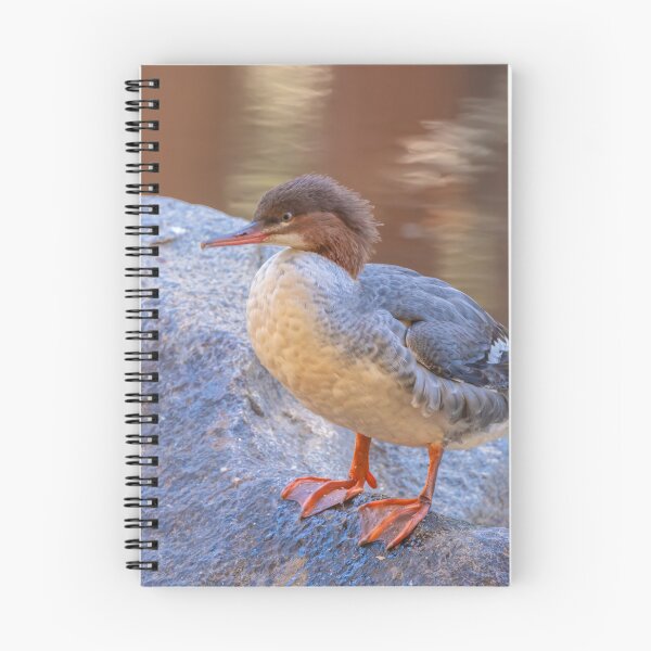 Item preview, Merganser  designed and sold by jvnimages.