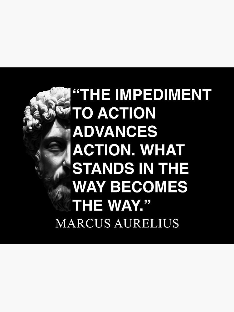 the-impediment-to-action-advances-action-what-stands-in-the-way