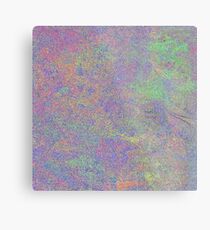 Colour Medley Metal Print
