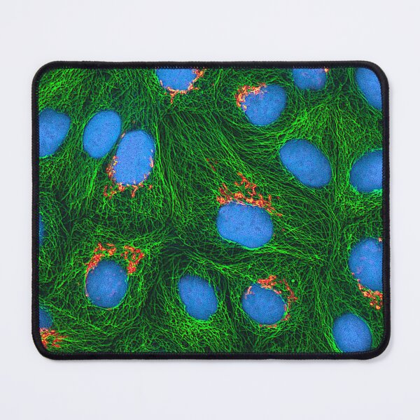 Item preview, HeLa Cancer Cell, Microscope Photo designed and sold by ScienceSource.