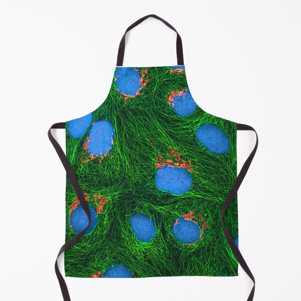 Item preview, HeLa Cancer Cell, Microscope Photo designed and sold by ScienceSource.