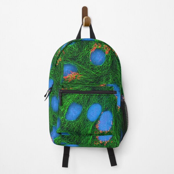 Item preview, HeLa Cancer Cell, Microscope Photo designed and sold by ScienceSource.