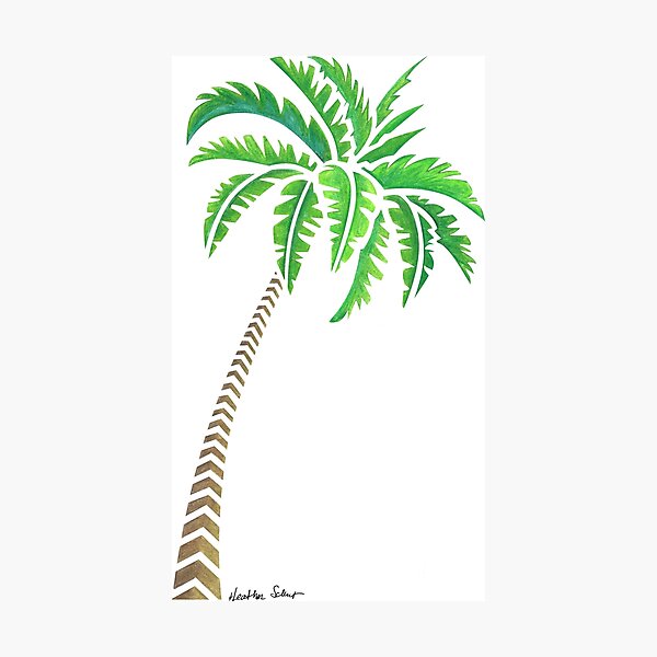 Item preview, Tribal Coconut Palm Tree designed and sold by artsytoo.