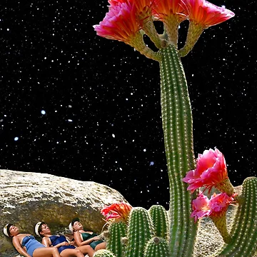 Artwork thumbnail, Soakin' Up Rays by _InTheGreenhouse