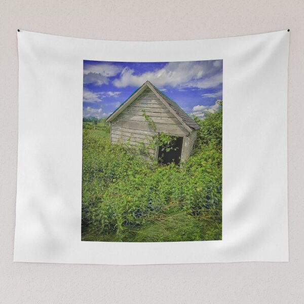 Item preview, Nobody Home  designed and sold by Paul Lubaczewski.