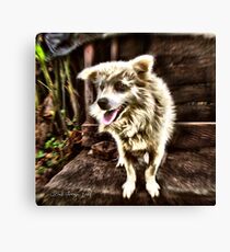 remembering tofu Canvas Print