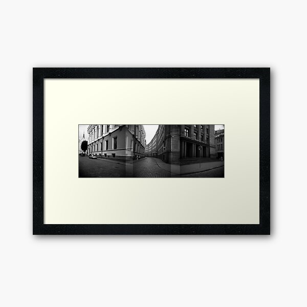 Framed Art Print