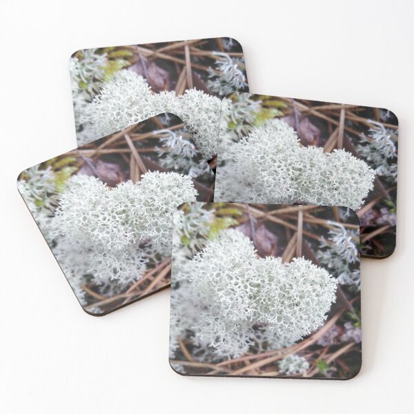 Item preview, Moss foretells the coming of winter designed and sold by Raigitam.