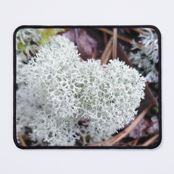 Item preview, Moss foretells the coming of winter designed and sold by Raigitam.