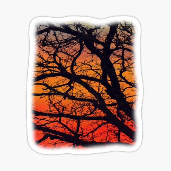 Item preview, Bare Tree at Sunset designed and sold by designs-by-ann.