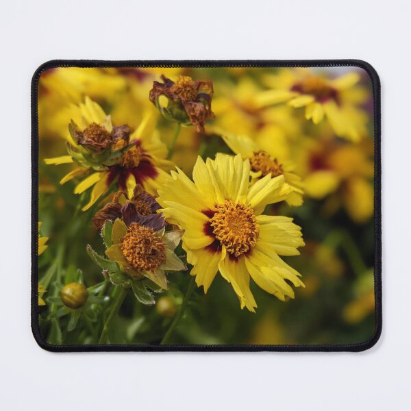 Item preview, Surviving Yellow Flower designed and sold by AustaArt.
