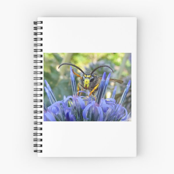 Item preview, Wasp on Echinops Portrait designed and sold by George Crawford.