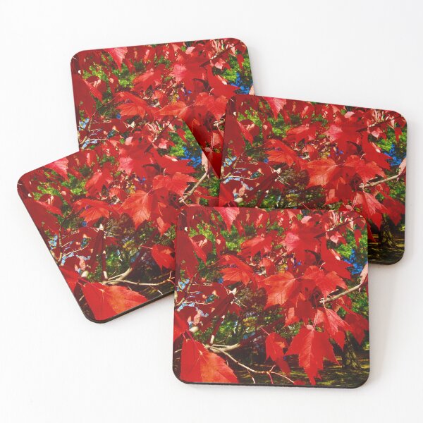 Item preview, Red Maple Leaves designed and sold by Shulie1.