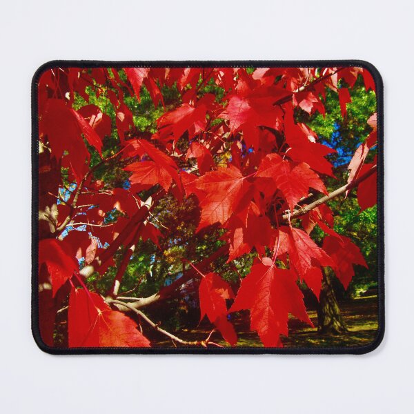 Item preview, Red Maple Leaves designed and sold by Shulie1.