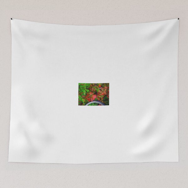 Item preview, Glorious Autumn Colors designed and sold by Larry Trupp.