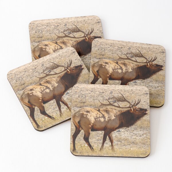 Item preview, Elk bugling, Yellowstone National Park designed and sold by ShleeSnaps.