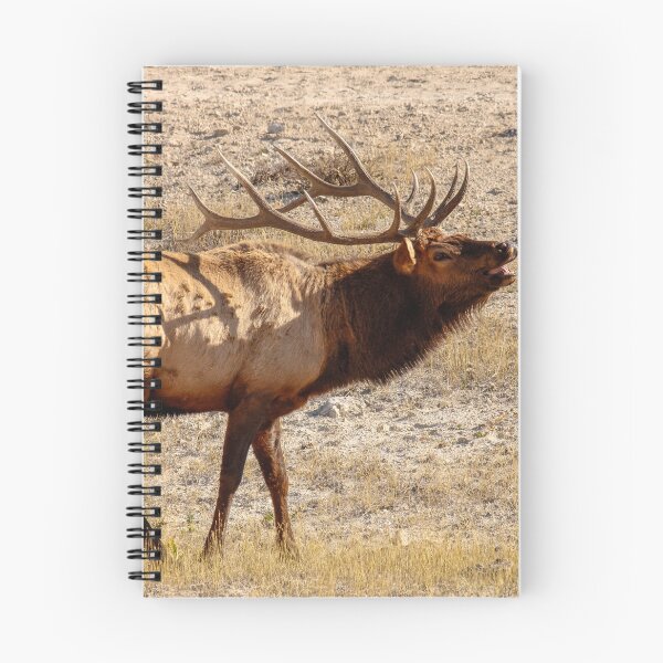 Item preview, Elk bugling, Yellowstone National Park designed and sold by ShleeSnaps.