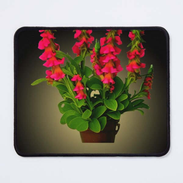Item preview, Vintage snapdragons designed and sold by kingtaj-store.