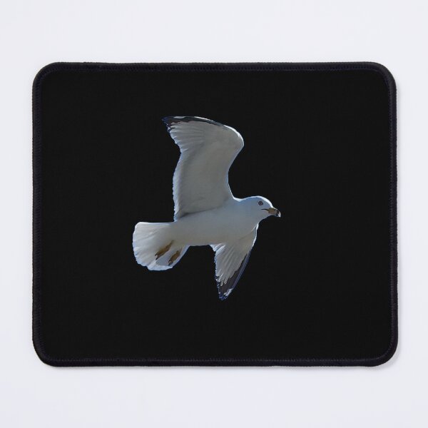 Item preview, Soaring Seagull designed and sold by LLC-Designs.