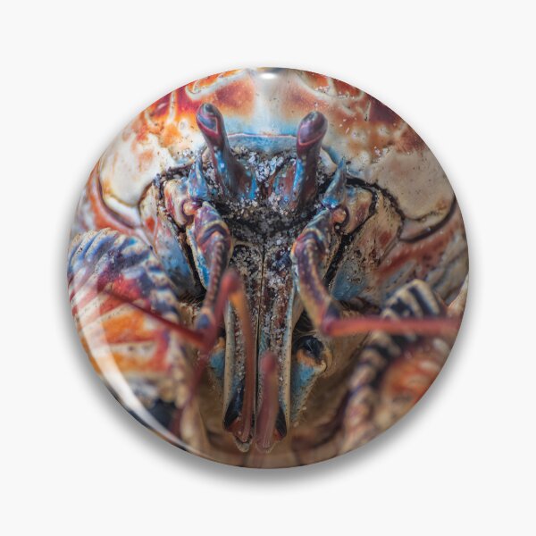 Item preview, Portrait of a Giant Robber Crab designed and sold by JohnKarmouche.