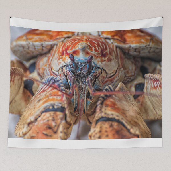 Item preview, Portrait of a Giant Robber Crab designed and sold by JohnKarmouche.
