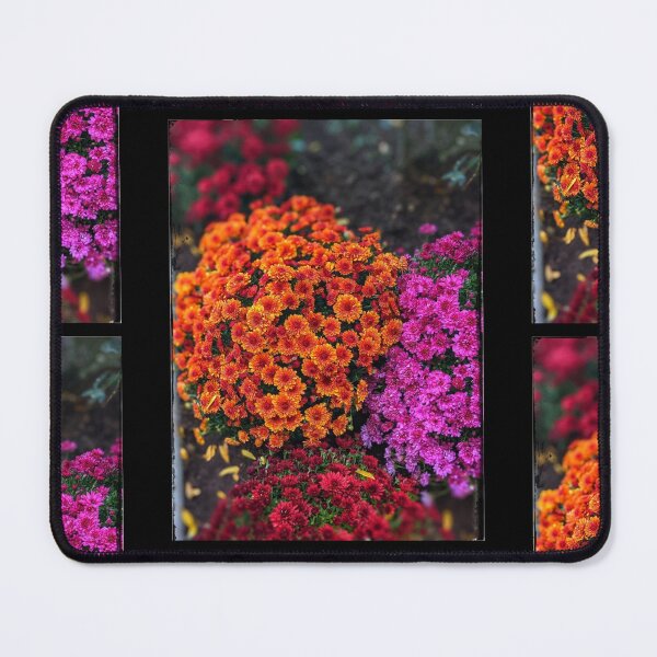 Item preview, Brightly Colored Mum Flowers Photography Design designed and sold by EarthArtDesigns.