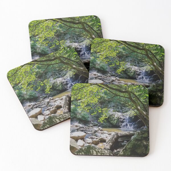 Item preview, Swallow Falls Maryland designed and sold by CBowserPhotos.