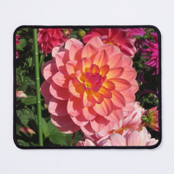 Item preview, Dahlia designed and sold by NitaBond.
