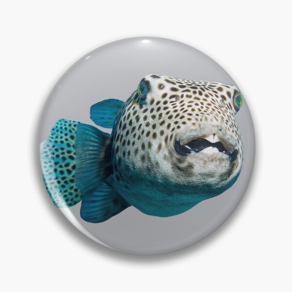 Item preview, Round Pufferfish designed and sold by RainbowSpinkle.