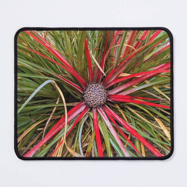 Item preview, botanical garden designed and sold by Nolwennya.