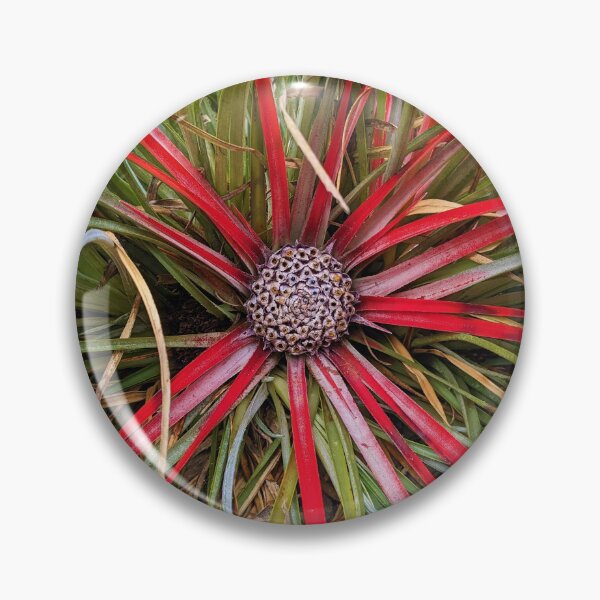 Item preview, botanical garden designed and sold by Nolwennya.