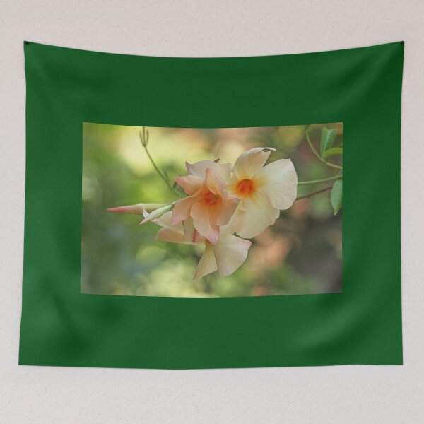 Item preview, Apricot Mandevilla designed and sold by Debbie Oppermann.