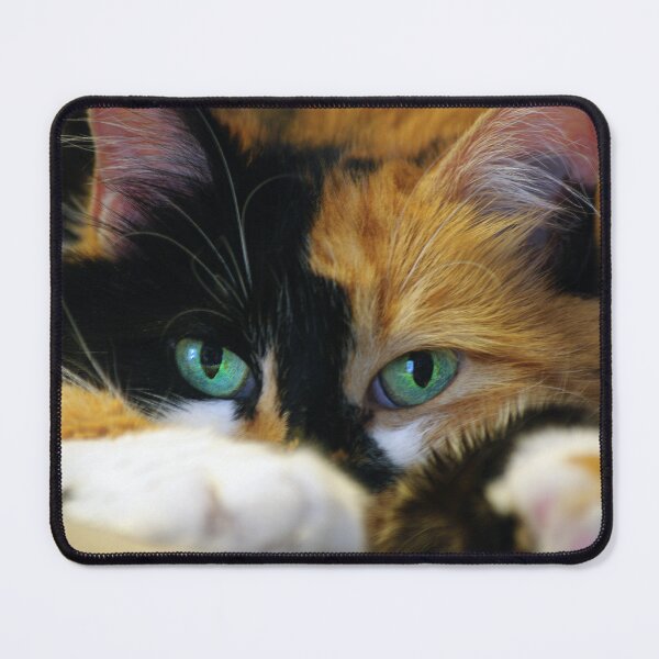 Item preview, Green Eyes designed and sold by Vicki Pelham.