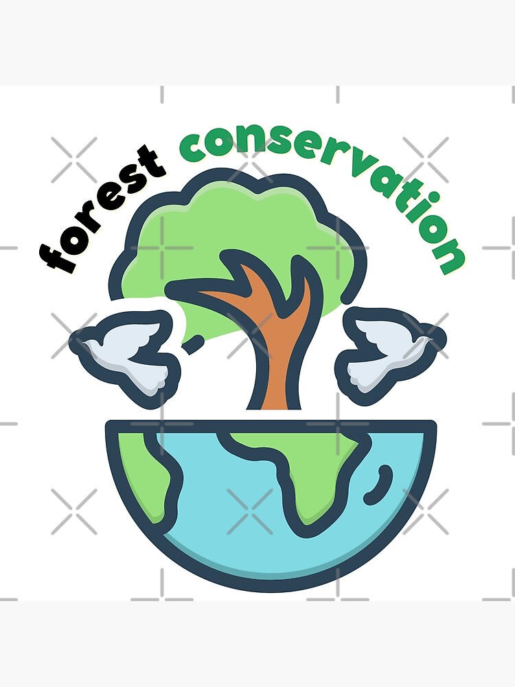 Different sub-zones of the forest canopy (drawing Francesco Gattesco). |  Download Scientific Diagram