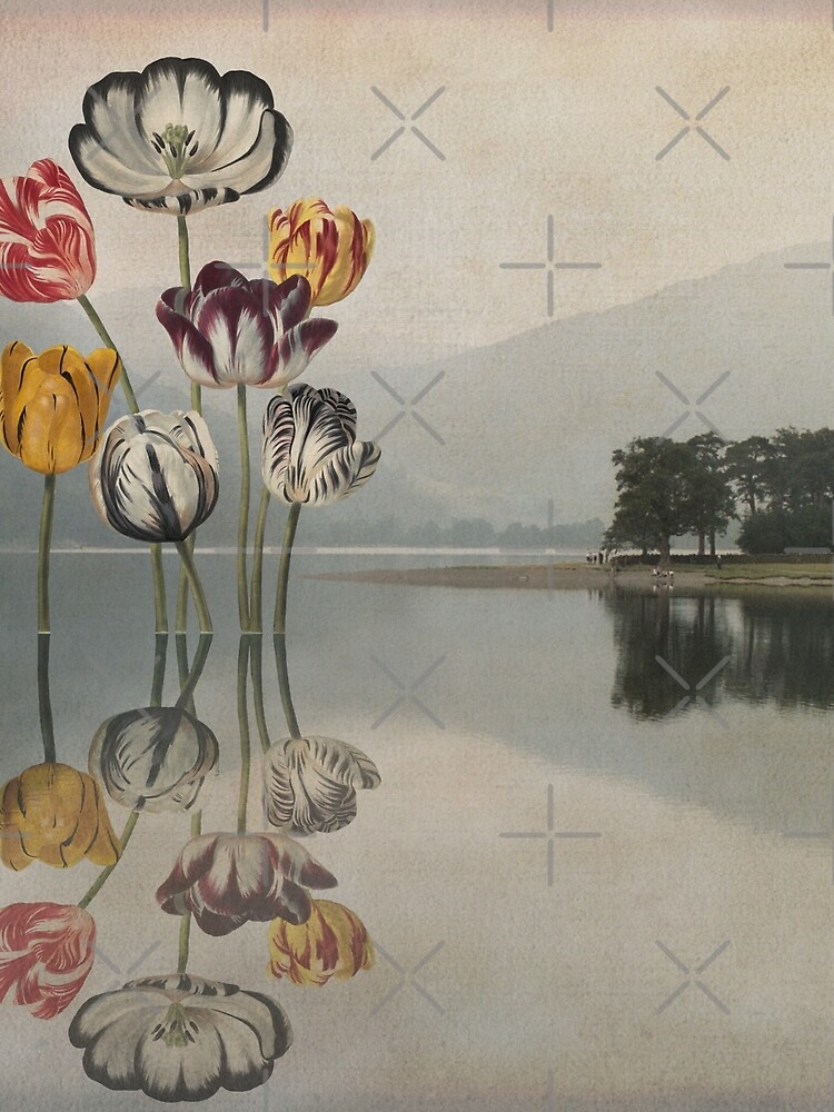 Still waters run deep - Digital Collage by Cecca Designs by Cecca-Designs