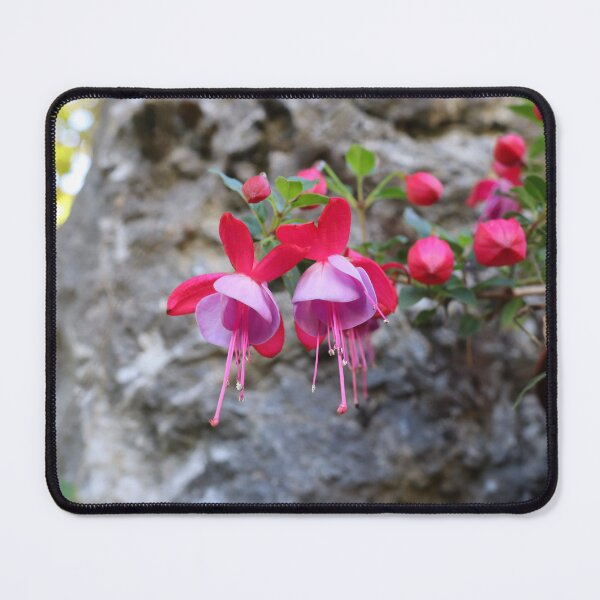 Item preview, Pinky Autumn Blossom designed and sold by Nolwennya.