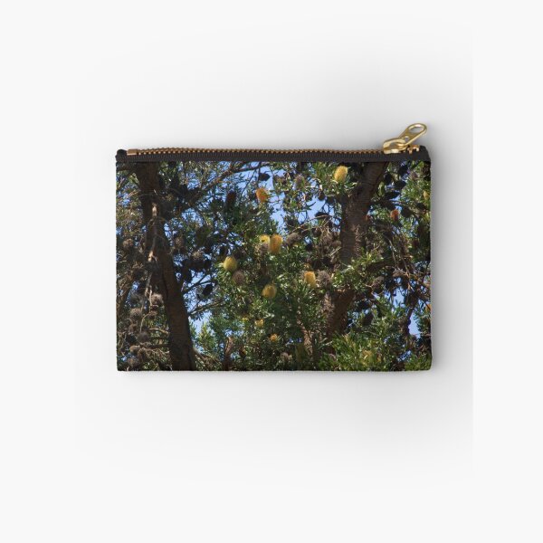 Item preview, Banksias designed and sold by ndarby1.