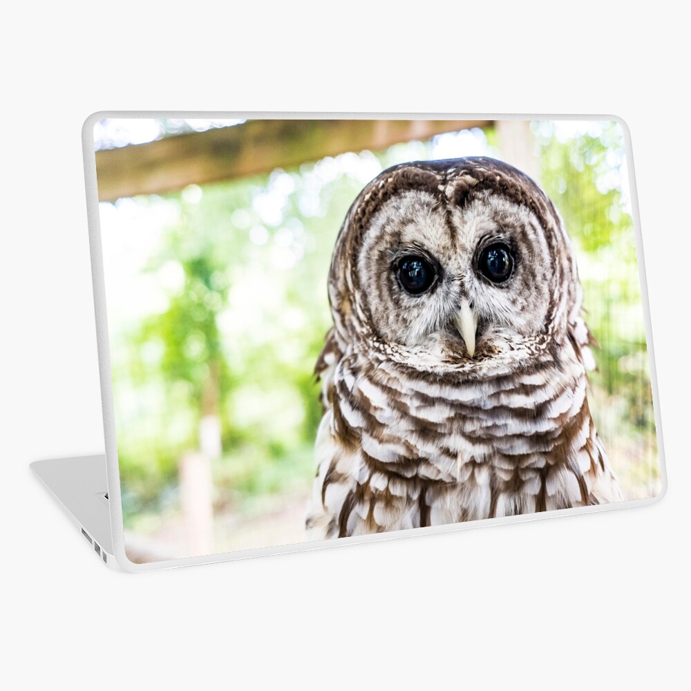 Item preview, Laptop Skin designed and sold by SkvoraLimited.