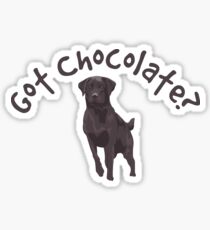 Got Chocolate Labrador Dog Sticker