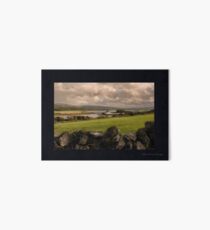 County Clare Art Board