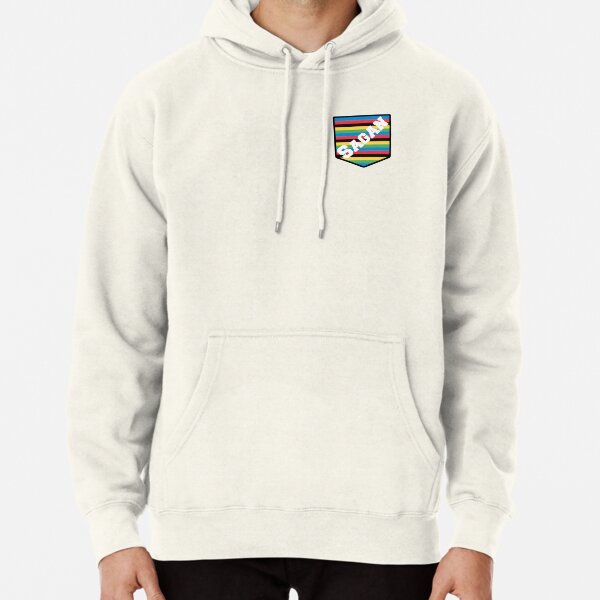 uci champion hoodie