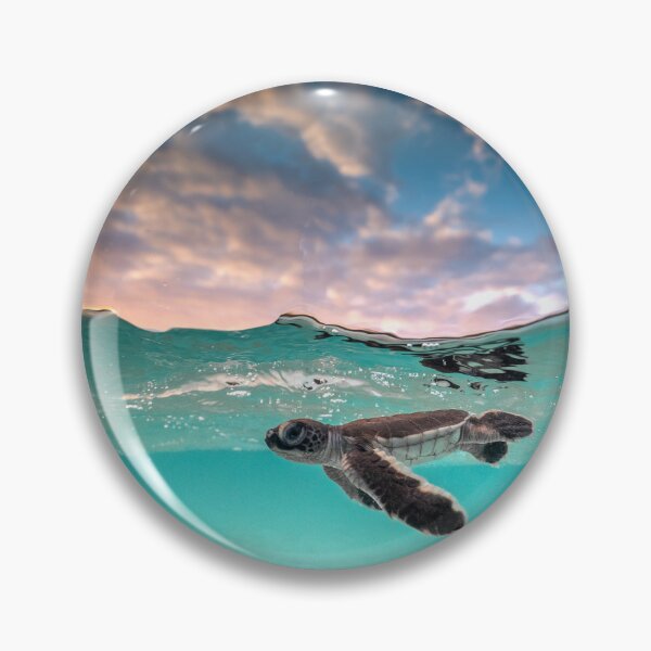 Item preview, Cotton Candy designed and sold by jeldosev-photos.