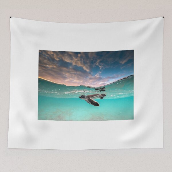 Item preview, Cotton Candy designed and sold by jeldosev-photos.