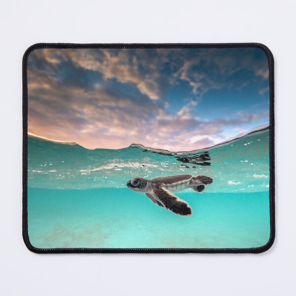 Item preview, Cotton Candy designed and sold by jeldosev-photos.