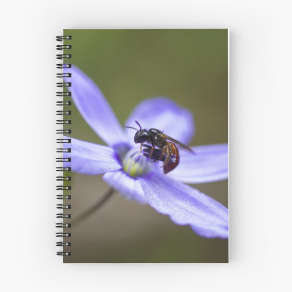 Item preview, pollination designed and sold by col hellmuth.