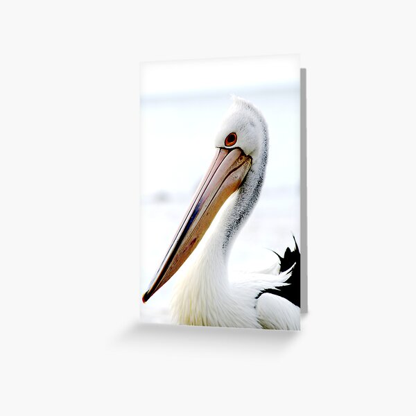 What a Beak! Greeting Card