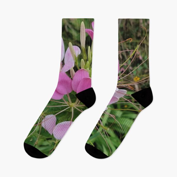Item preview, Pink Cleome, or Spider Flower designed and sold by Betty Mackey.