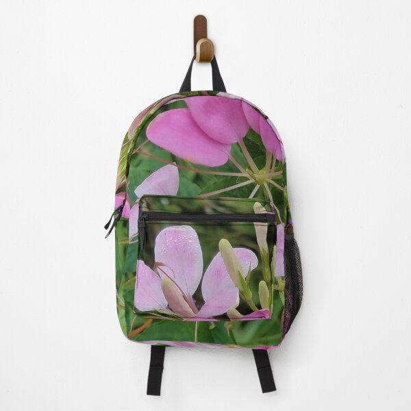 Item preview, Pink Cleome, or Spider Flower designed and sold by Betty Mackey.