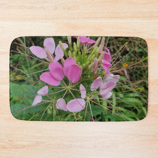 Item preview, Pink Cleome, or Spider Flower designed and sold by Betty Mackey.